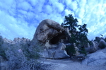 photo thumbnail #4