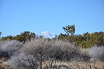recent photo