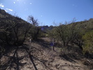 photo thumbnail #2
