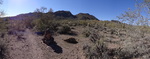 photo thumbnail #3