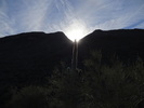 photo thumbnail #15