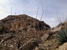photo thumbnail #10