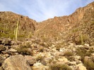 photo thumbnail #2