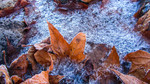 photo thumbnail #2