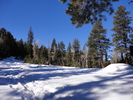 photo thumbnail #6
