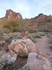 photo thumbnail #2