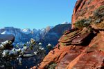photo thumbnail #9