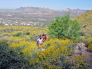 photo thumbnail #2