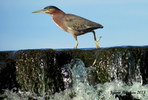 photo thumbnail #2