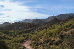 photo thumbnail #1