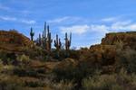 photo thumbnail #2
