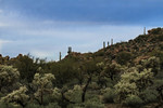 photo thumbnail #8