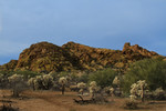 photo thumbnail #10