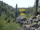photo thumbnail #10