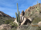 photo thumbnail #3