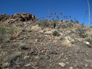 photo thumbnail #6