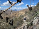 photo thumbnail #9