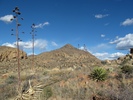 photo thumbnail #10