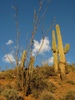 photo thumbnail #11