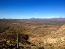 photo thumbnail #2