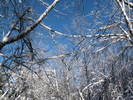photo thumbnail #11