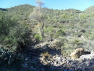 photo thumbnail #4
