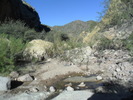 photo thumbnail #6