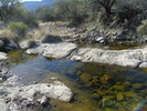 photo thumbnail #9