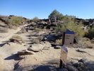 photo thumbnail #12