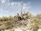 photo thumbnail #11