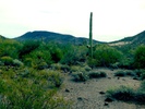photo thumbnail #12