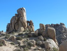 photo thumbnail #5