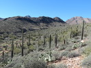 photo thumbnail #8