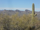 photo thumbnail #8