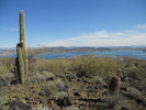 photo thumbnail #10