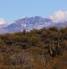 photo thumbnail #7
