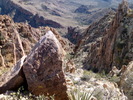 photo thumbnail #4