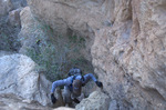 photo thumbnail #2