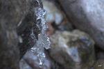photo thumbnail #15