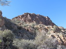 Featured Detail Photo