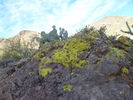 photo thumbnail #4