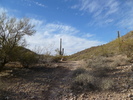 photo thumbnail #5