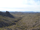 photo thumbnail #7
