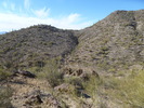 photo thumbnail #8