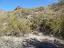 photo thumbnail #13