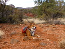 photo thumbnail #14