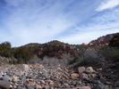 photo thumbnail #15
