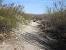 photo thumbnail #12