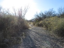 photo thumbnail #13