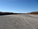 photo thumbnail #10